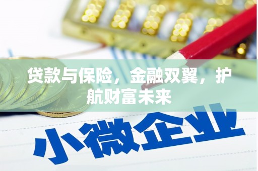 岱山贷款与保险，金融双翼，护航财富未来