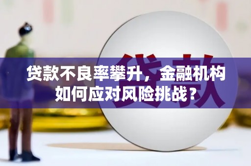 岱山贷款不良率攀升，金融机构如何应对风险挑战？