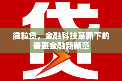 岱山微粒贷，金融科技革新下的普惠金融新篇章