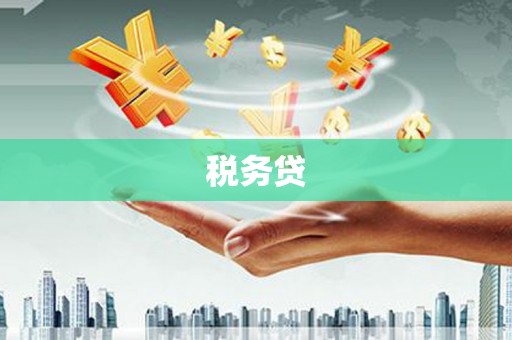 岱山税务贷