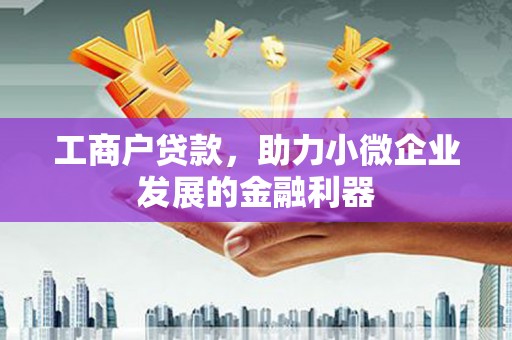 岱山工商户贷款，助力小微企业发展的金融利器