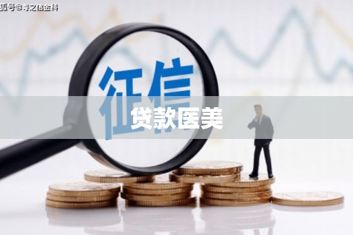岱山贷款医美