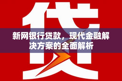 岱山新网银行贷款，现代金融解决方案的全面解析