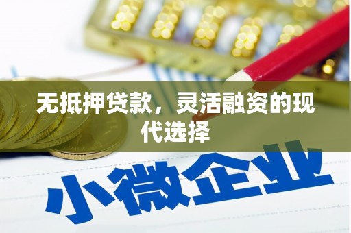 岱山无抵押贷款，灵活融资的现代选择