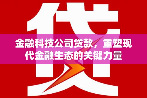 岱山金融科技公司贷款，重塑现代金融生态的关键力量