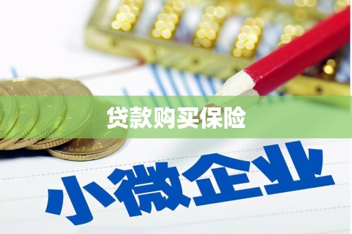 岱山贷款购买保险
