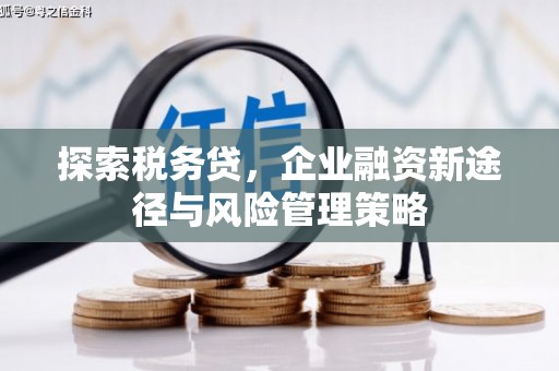 岱山探索税务贷，企业融资新途径与风险管理策略