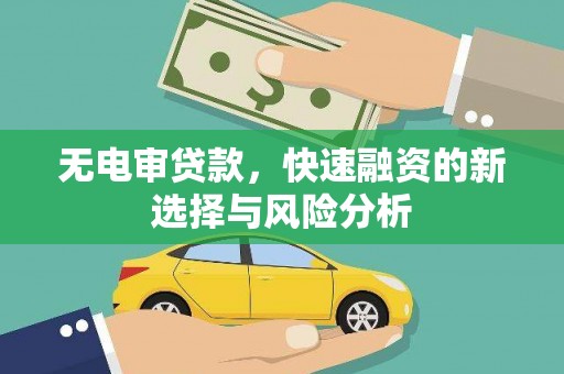 岱山无电审贷款，快速融资的新选择与风险分析