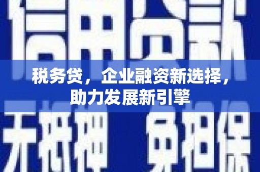 岱山税务贷，企业融资新选择，助力发展新引擎
