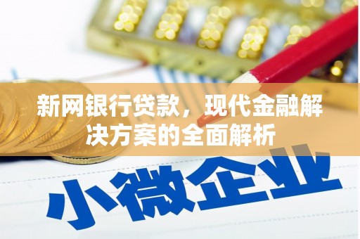 岱山新网银行贷款，现代金融解决方案的全面解析