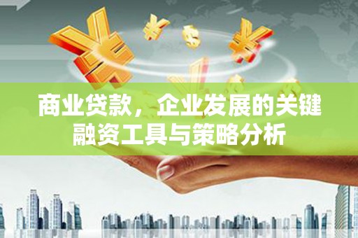 岱山商业贷款，企业发展的关键融资工具与策略分析