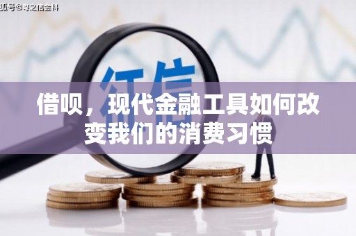 岱山借呗，现代金融工具如何改变我们的消费习惯