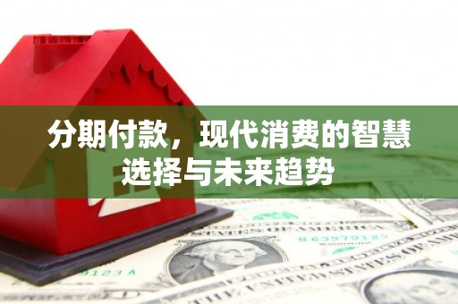 岱山分期付款，现代消费的智慧选择与未来趋势