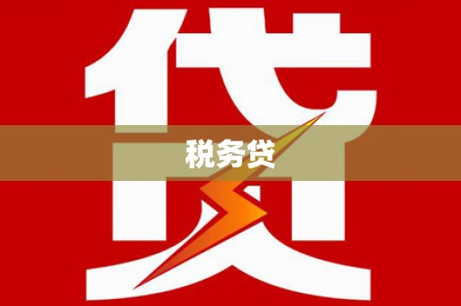 岱山税务贷