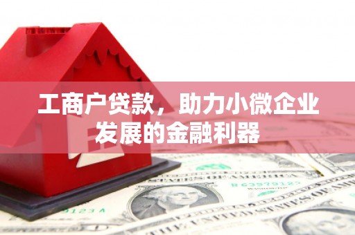 岱山工商户贷款，助力小微企业发展的金融利器