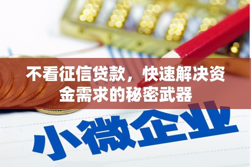 岱山不看征信贷款，快速解决资金需求的秘密武器