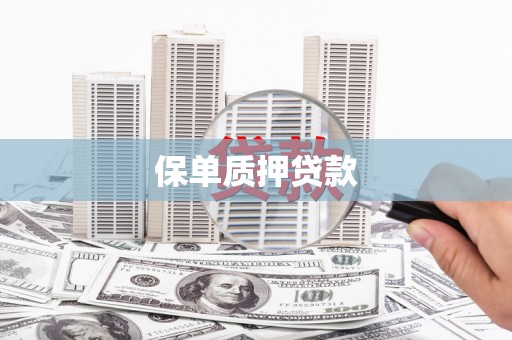 岱山保单质押贷款