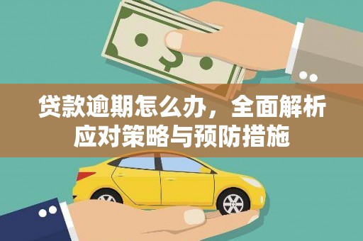 岱山贷款逾期怎么办，全面解析应对策略与预防措施