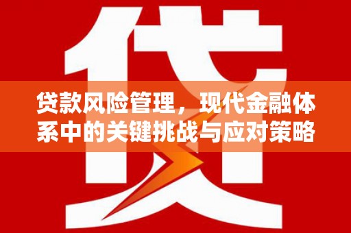 岱山贷款风险管理，现代金融体系中的关键挑战与应对策略