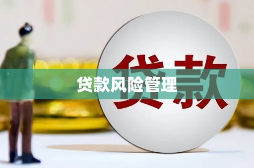 岱山贷款风险管理