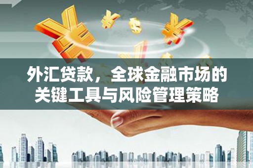 岱山外汇贷款，全球金融市场的关键工具与风险管理策略