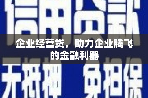 岱山企业经营贷，助力企业腾飞的金融利器