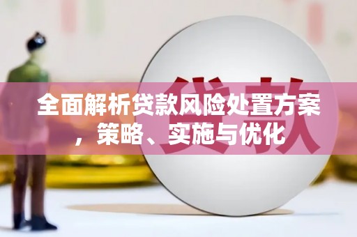 岱山全面解析贷款风险处置方案，策略、实施与优化