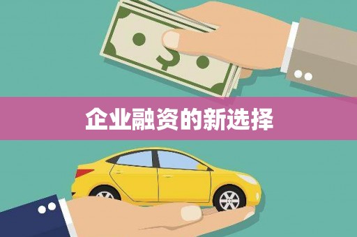岱山企业融资的新选择