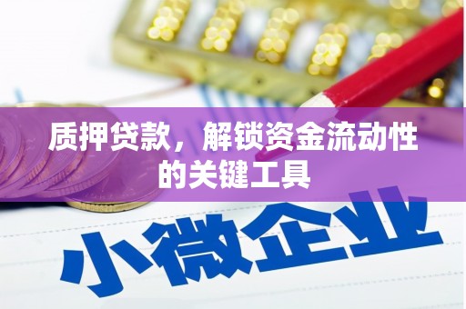 岱山质押贷款，解锁资金流动性的关键工具