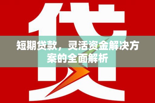 岱山短期贷款，灵活资金解决方案的全面解析