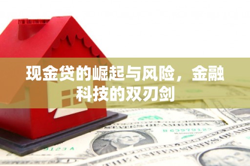 岱山现金贷的崛起与风险，金融科技的双刃剑