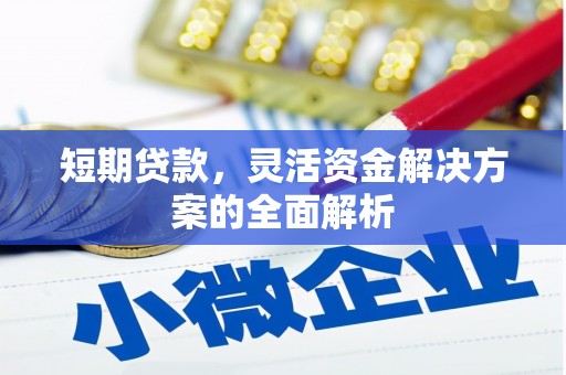 岱山短期贷款，灵活资金解决方案的全面解析