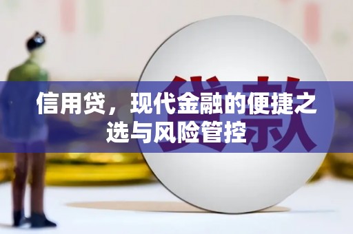 岱山信用贷，现代金融的便捷之选与风险管控