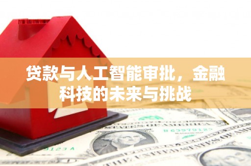 岱山贷款与人工智能审批，金融科技的未来与挑战