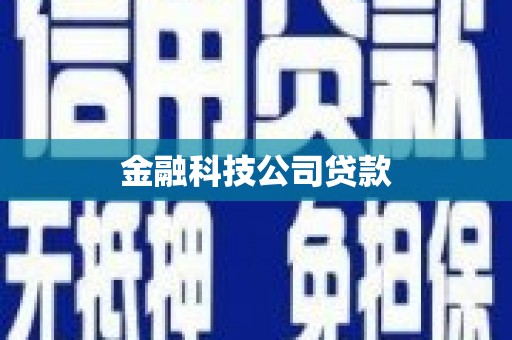 岱山金融科技公司贷款
