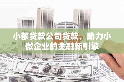岱山小额贷款公司贷款，助力小微企业的金融新引擎