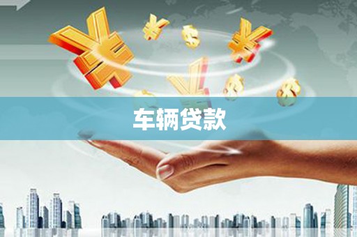岱山车辆贷款