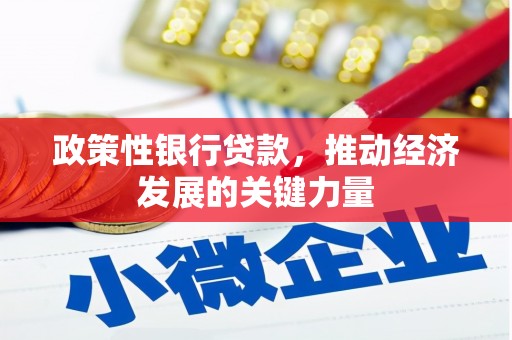 岱山政策性银行贷款，推动经济发展的关键力量