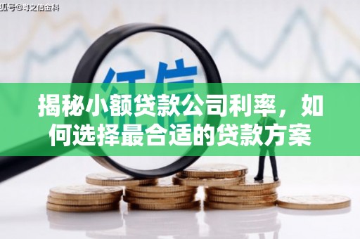 岱山揭秘小额贷款公司利率，如何选择最合适的贷款方案