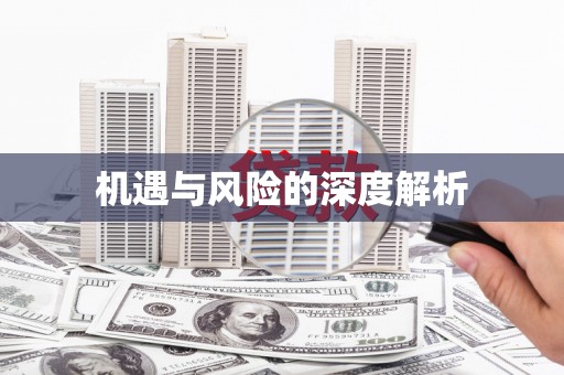 岱山机遇与风险的深度解析