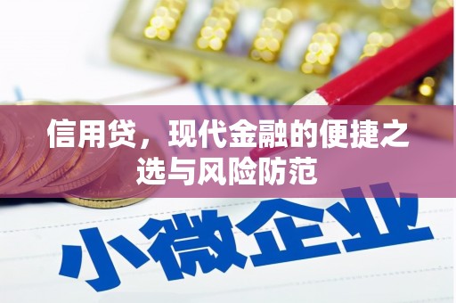 岱山信用贷，现代金融的便捷之选与风险防范