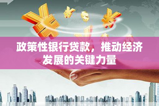 岱山政策性银行贷款，推动经济发展的关键力量