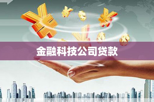 岱山金融科技公司贷款