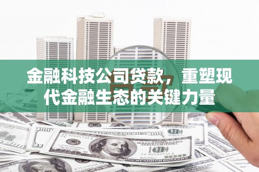 岱山金融科技公司贷款，重塑现代金融生态的关键力量