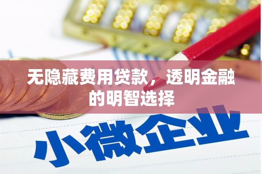 岱山无隐藏费用贷款，透明金融的明智选择