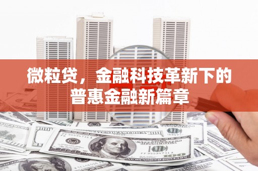 岱山微粒贷，金融科技革新下的普惠金融新篇章