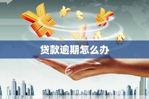 岱山贷款逾期怎么办