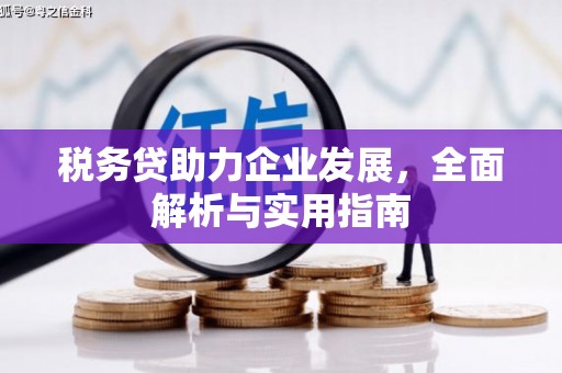 岱山税务贷助力企业发展，全面解析与实用指南