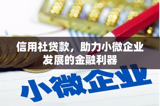 岱山信用社贷款，助力小微企业发展的金融利器