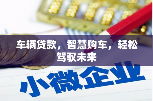 岱山车辆贷款，智慧购车，轻松驾驭未来